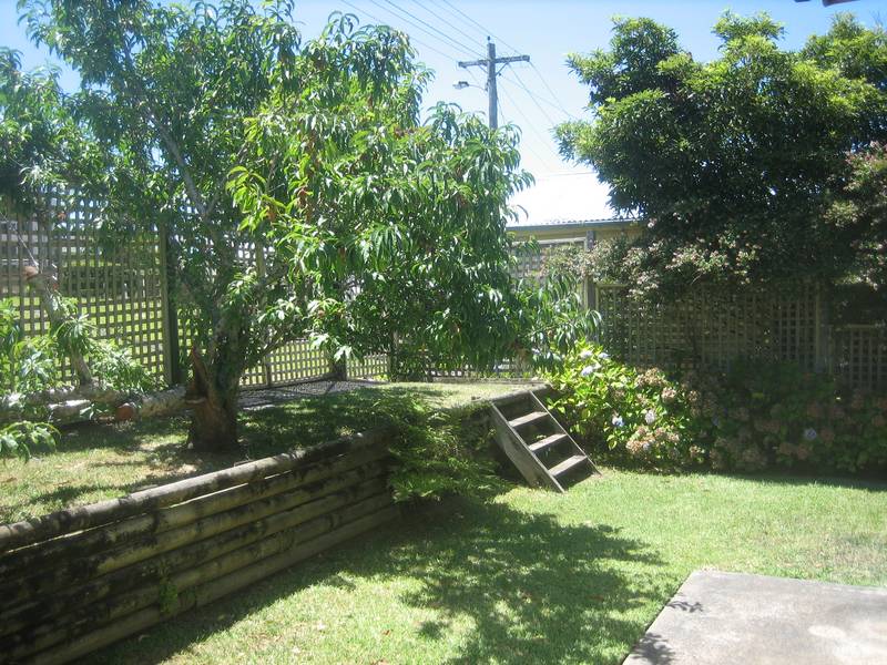 Walk to Terrigal Beach Picture 2