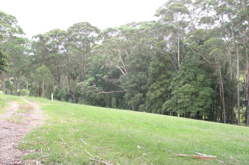 Rural Hideaway Picture 2