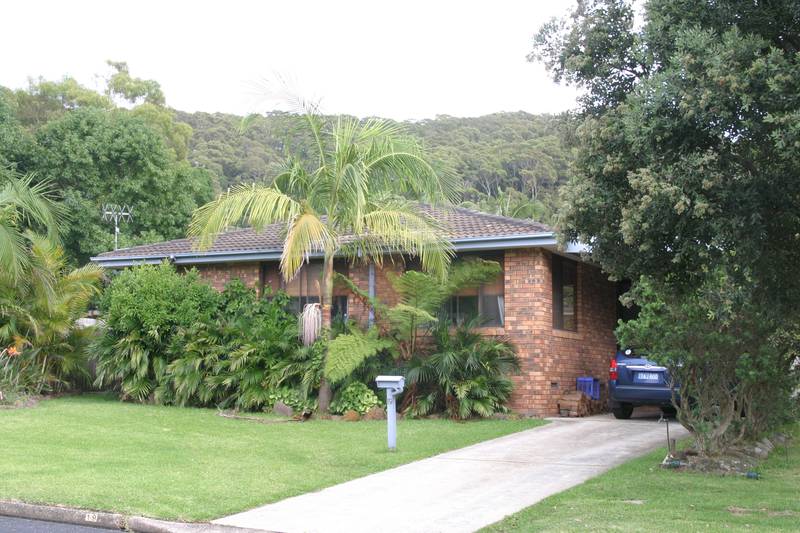 A Little Ripper Picture 2