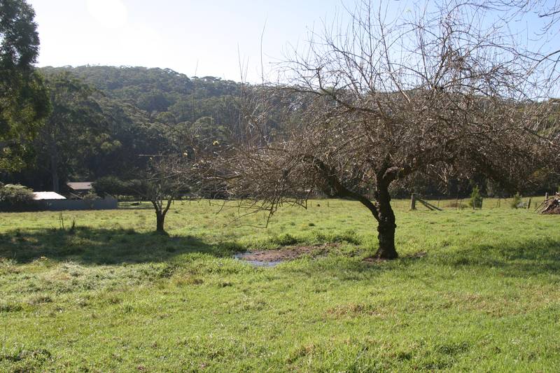 Prime Rural Block Picture 2