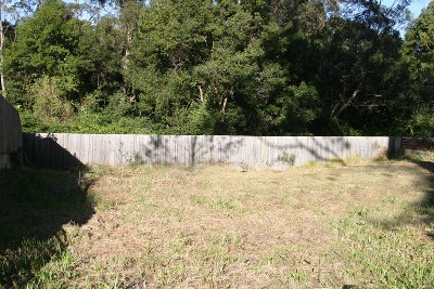 Vacant Land Picture