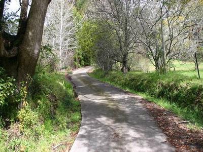 Coachwood Road Picture Coachwood Road Picture