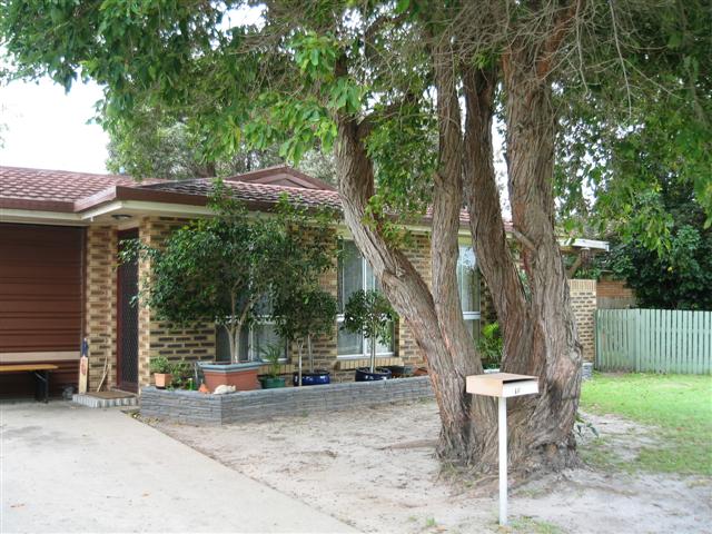 For Lease - Warana Picture 1