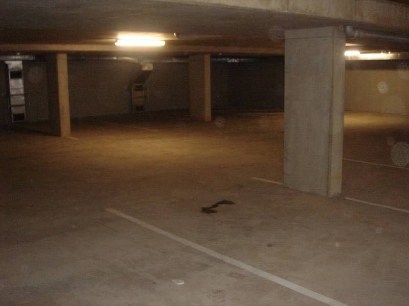 Brand New Offices To Lease In The Heart Of Maroochydore Picture 3