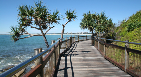 A must to inspect! Picture