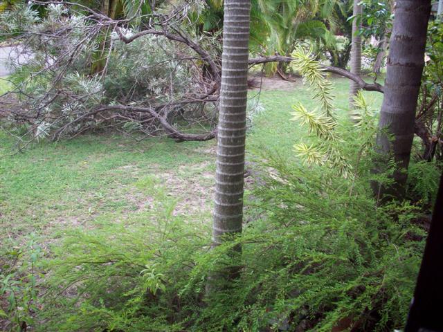 For Rent - WARANA Picture 3