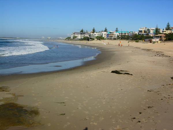 Owner bought elswhere needs to go! Picture 1