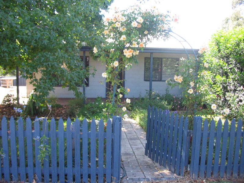 Don't Miss Out Picture 1