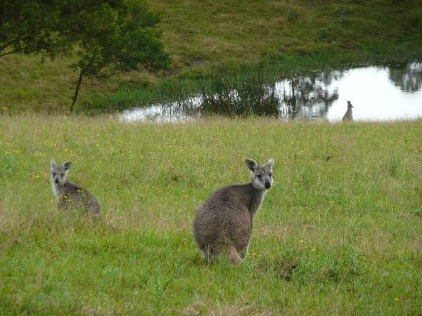 Peace & Tranquility Picture