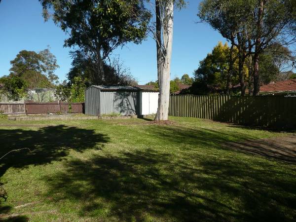 Beauty in the Making Picture