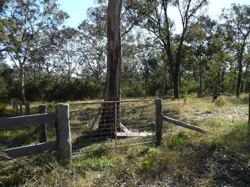 Don't Fence Me In Picture 3