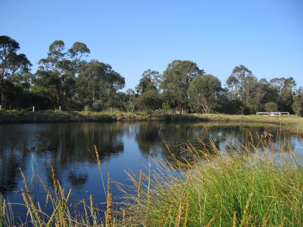 Sweet-Ten-Tation Picture