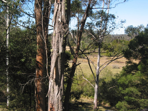 Fully Furnished -
Peaceful & Relaxing Picture