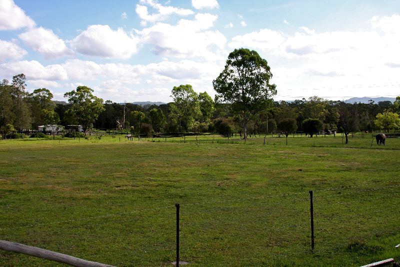 Horsing Around Picture 3