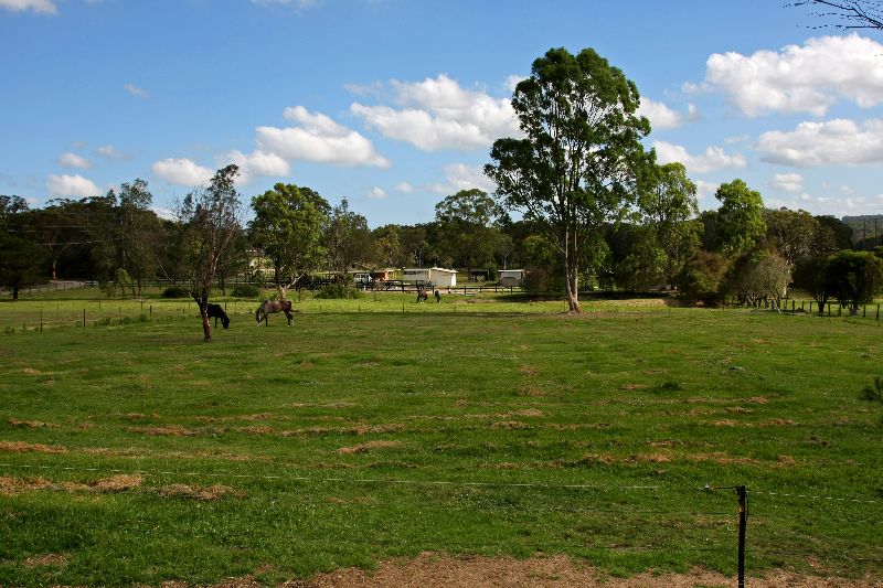 Horsing Around Picture 1