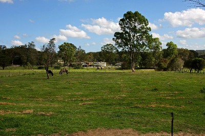 Horsing Around Picture