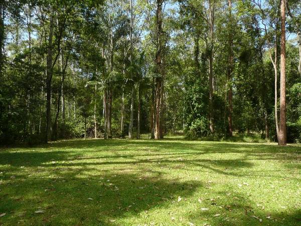 Home Among The Bellbirds Picture