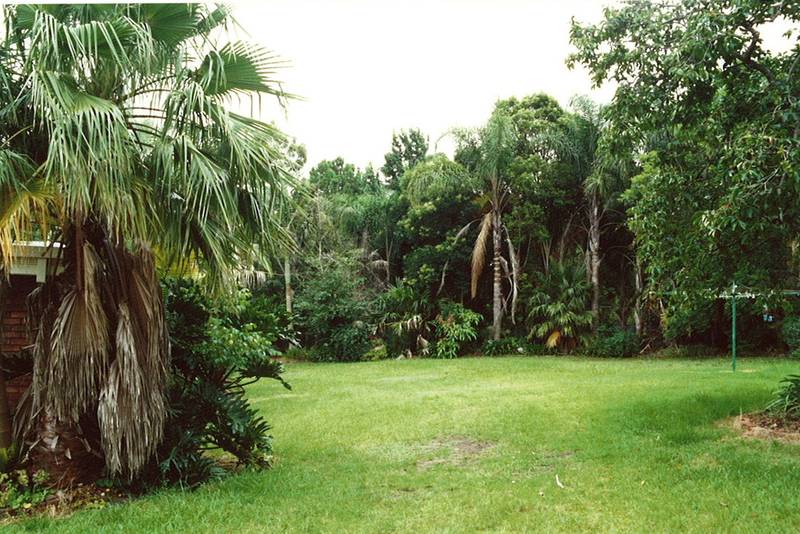 Rambling Rose Picture