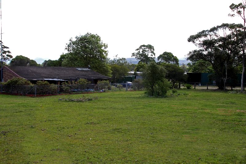 Horsing Around Picture 2