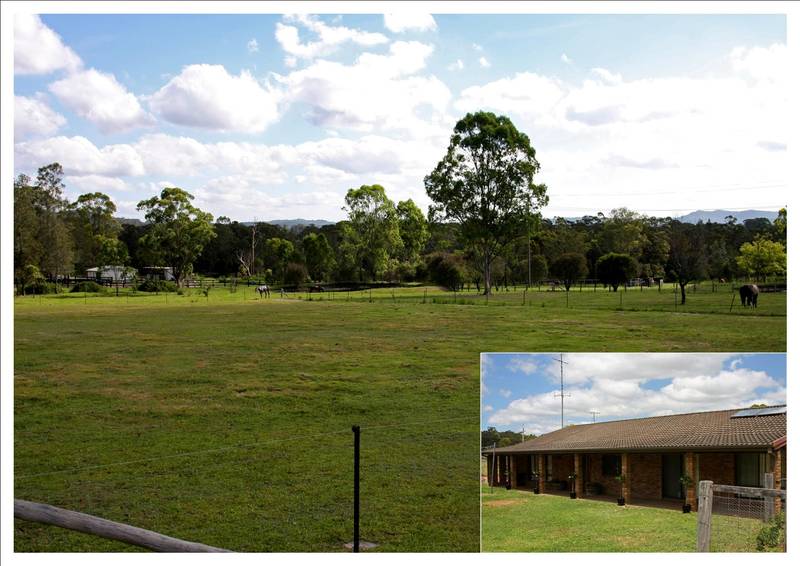 Horsing Around Picture 1