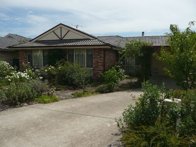 Pretty As A Picture Picture