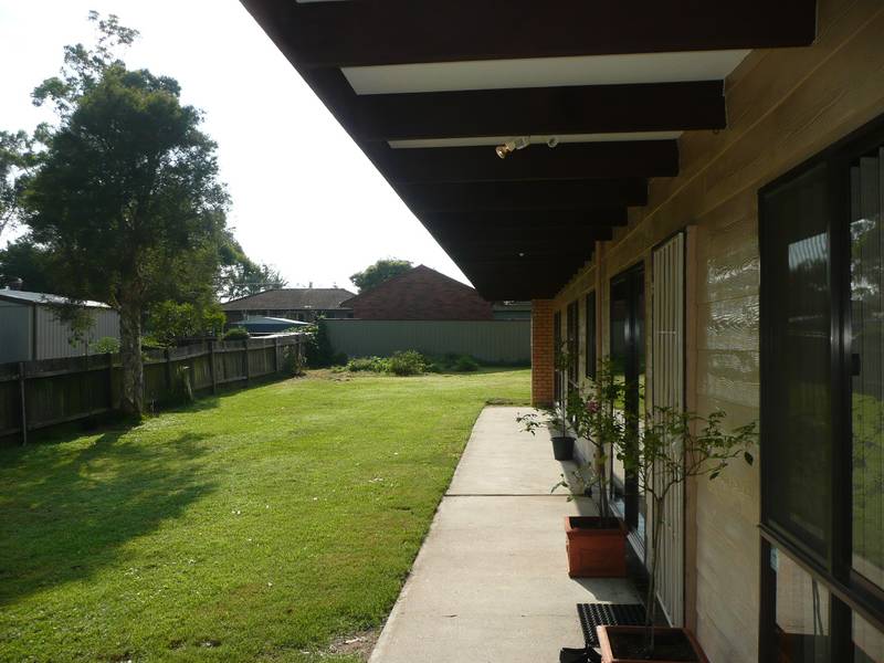 Follow the Sun Picture 3