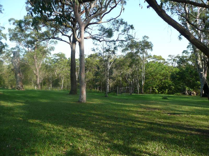 THAT RARE FIND Picture 3