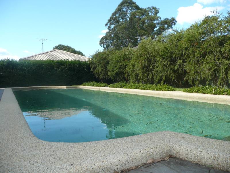 SUPER-SIZED FAMILY HOME Picture 2