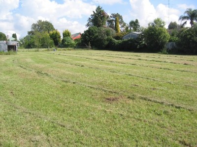 Residential Development Site Picture