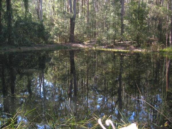 Build Your Own Dream Home Picture 3