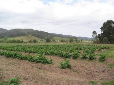 Room To Mooove Picture