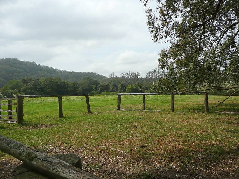 The Tallowoods Picture 2