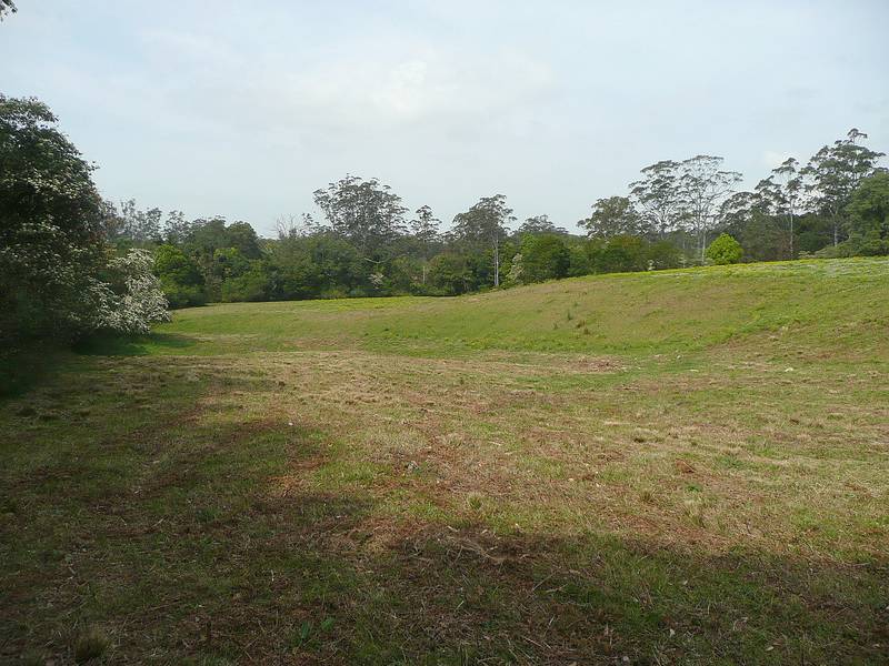 The Tallowoods Picture 3