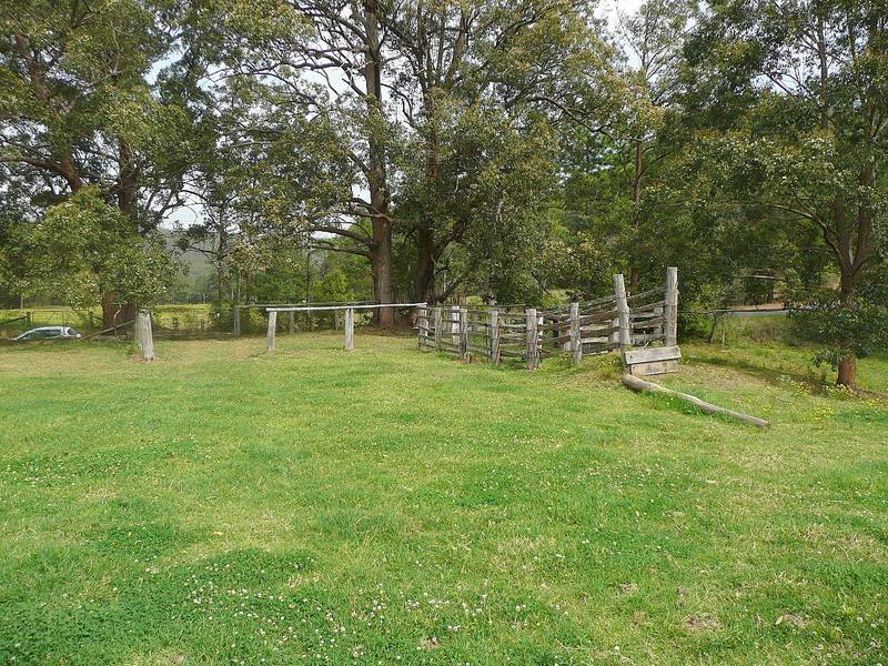 The Tallowoods Picture 1