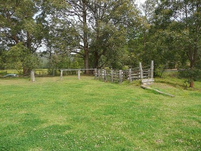 The Tallowoods Picture