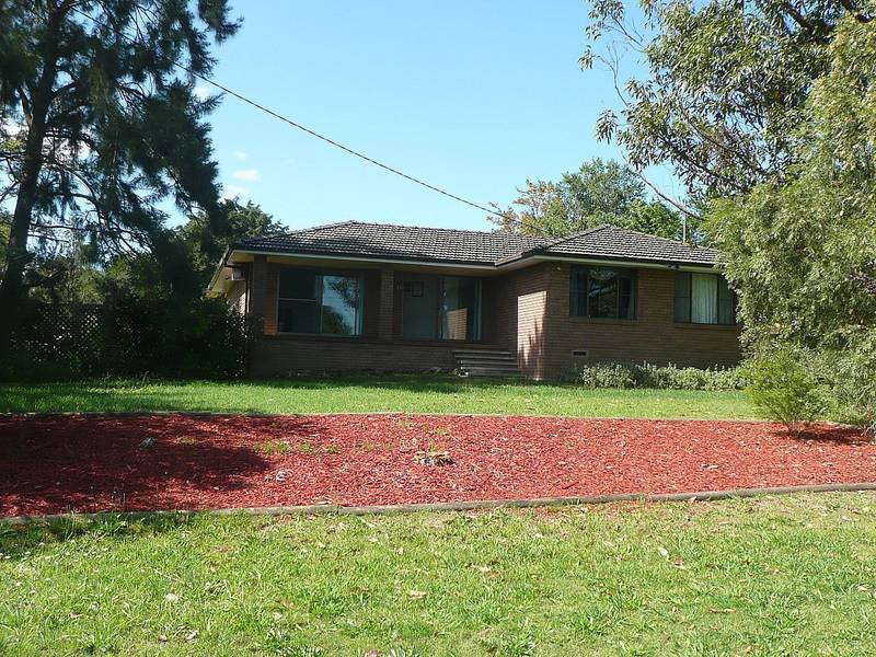 SURPRISE, SURPRISE Picture 1