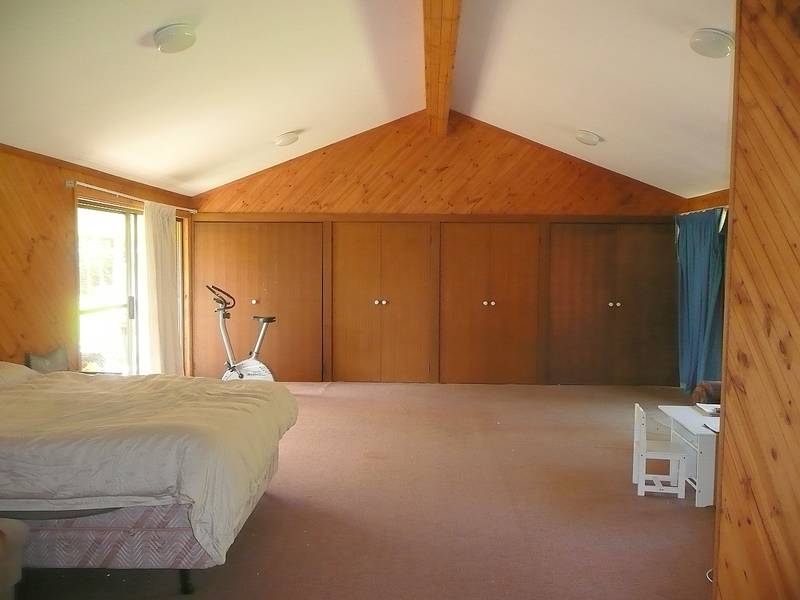 SURPRISE, SURPRISE Picture 2