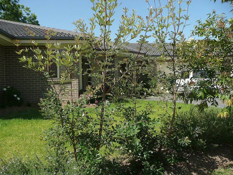 Why Build? I'm Ready Picture 3