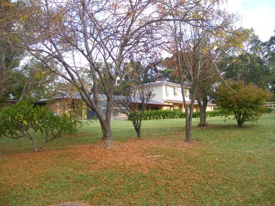 Seeing is Believing Picture