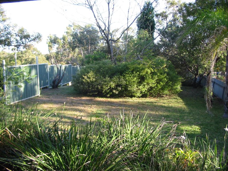 Tranquil and Relaxed Lifestyle Picture 3