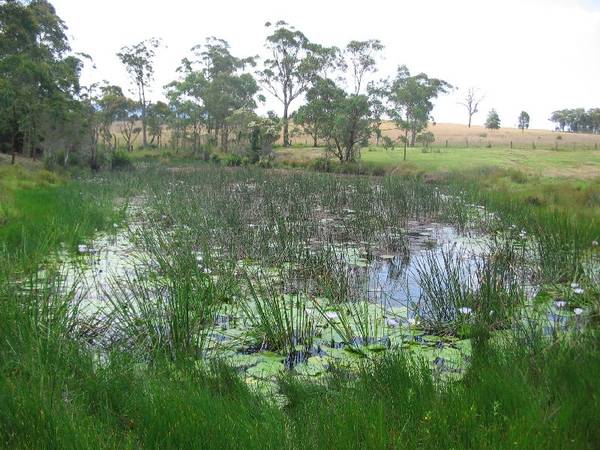 Glenhope at Cooranbong Picture