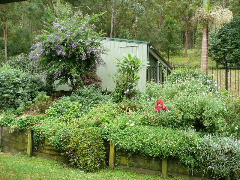 Watagan Wonderland Picture 3