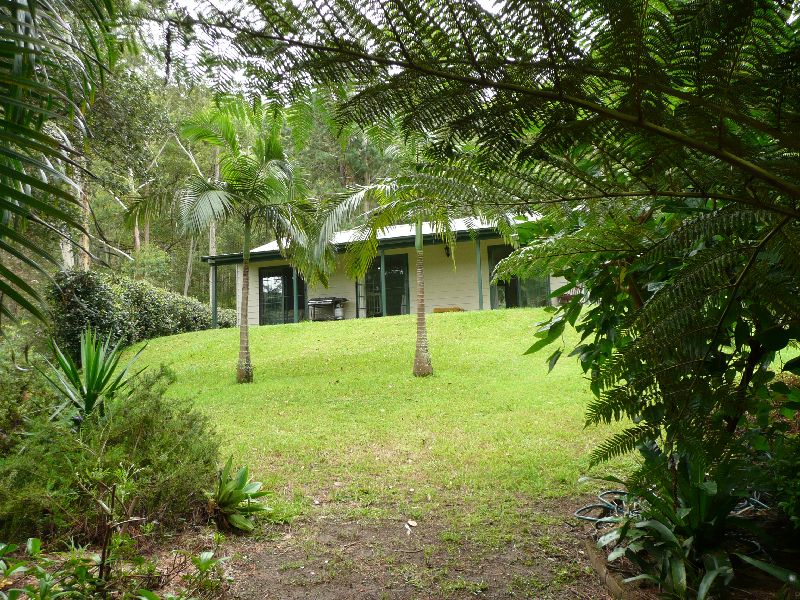 Watagan Wonderland Picture 1