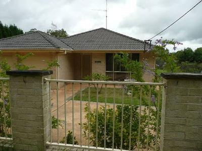 Dog or Horse Lovers Heaven Picture