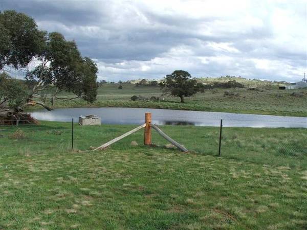 Abington Park-13 acres HOME FOR MAN AND HIS BEAST Picture 1