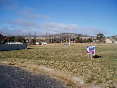 Berridale Vacant Land-Great town,great price Picture