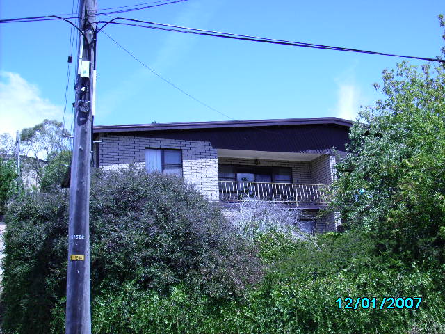 WINTER 2009 16 WEEK LEASE Picture 1