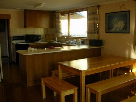 WINTER 2009 16 WEEK LEASE Picture 2