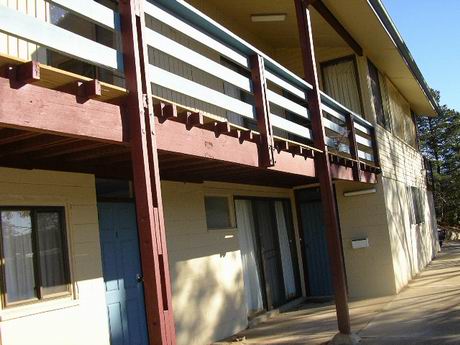 WINTER 2009 16 WEEK LEASE Picture 3