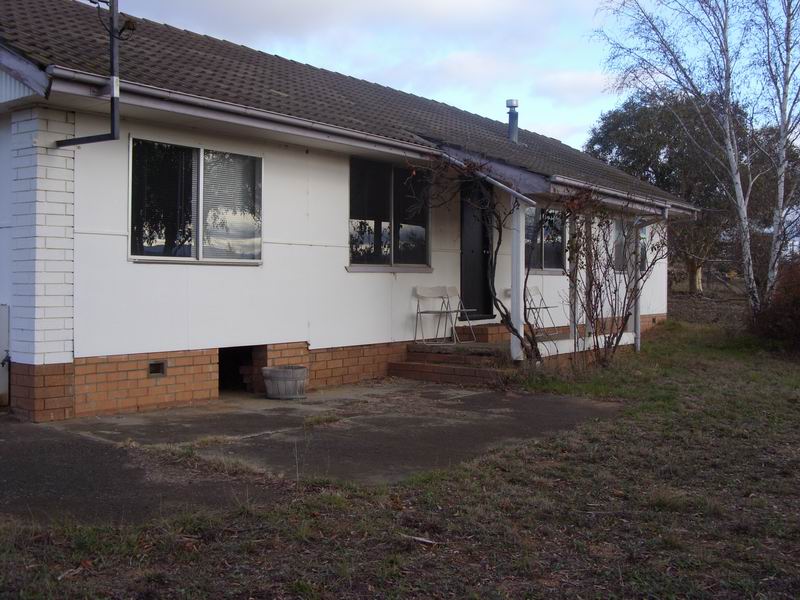 WINTER 2009 16 WEEK LEASE Picture 1